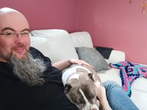 Bald white man with a long gray beard and a pit bull in his lap